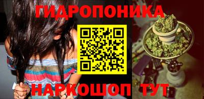 мдма Новодвинск
